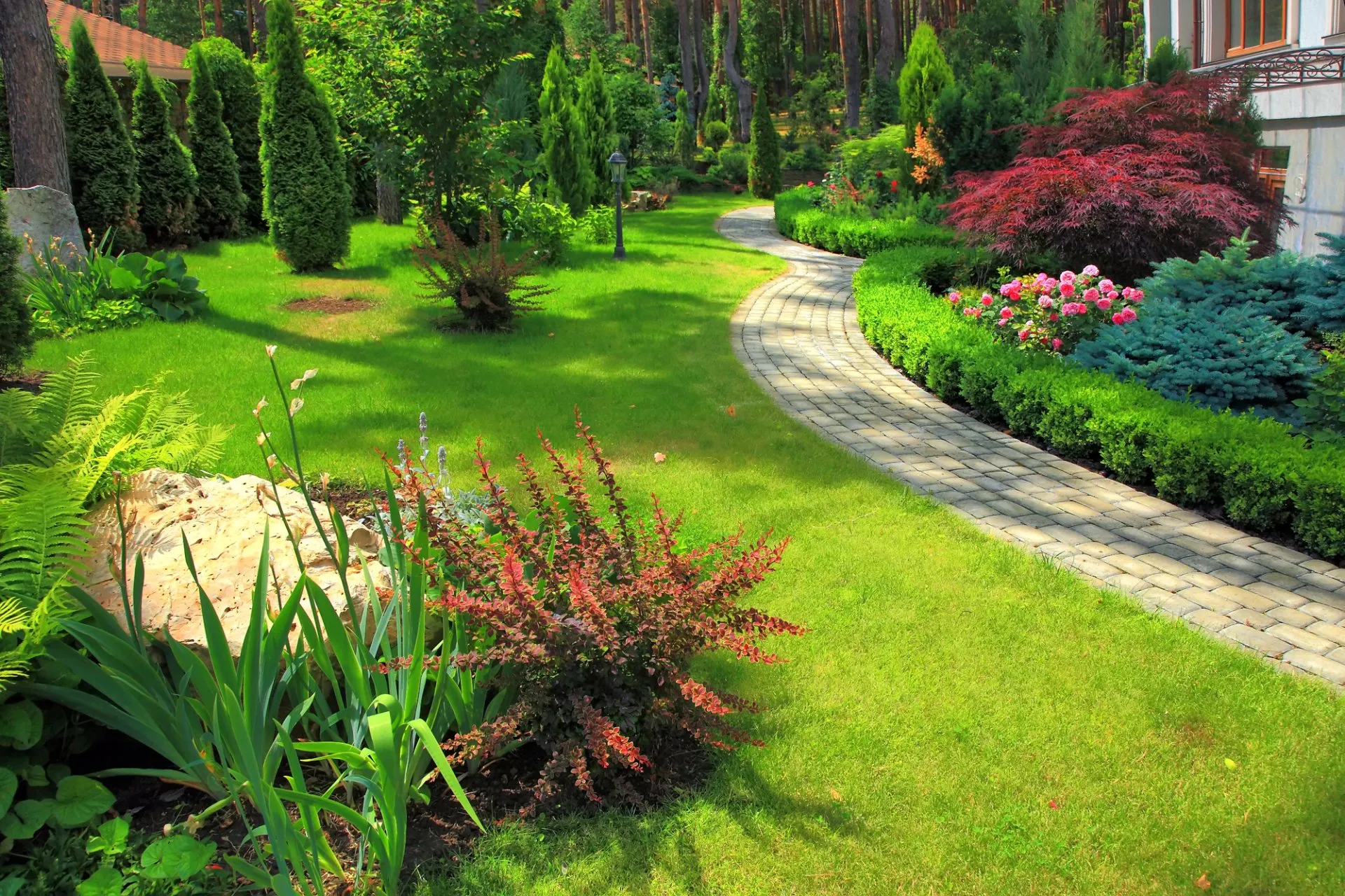 Swimming Pool Landscaping Services