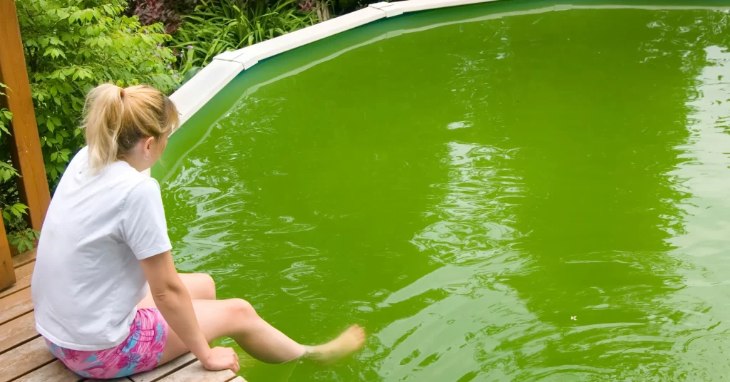 Guide on Is it safe to swim in a green pool
